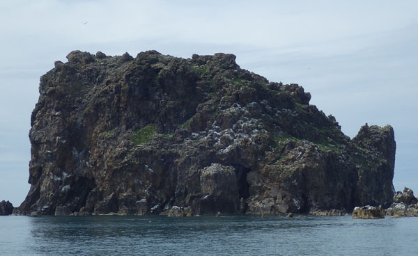 f0159390_10534586.jpg