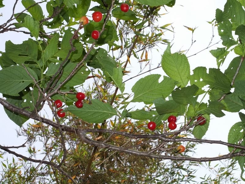 b0212396_13495078.jpg