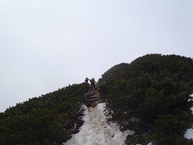 c0147398_16595311.jpg