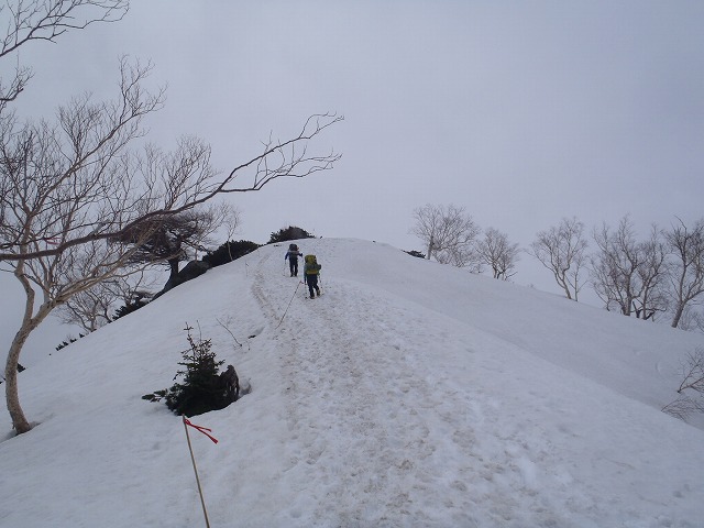 c0147398_1659942.jpg