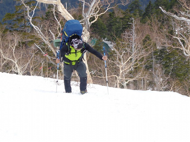 c0147398_171288.jpg
