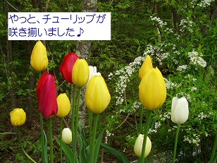 b0200310_2158332.jpg