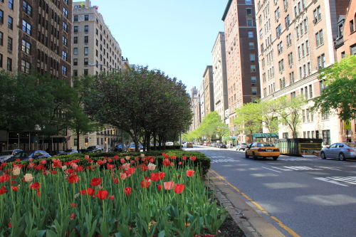 c0328616_12373408.jpg