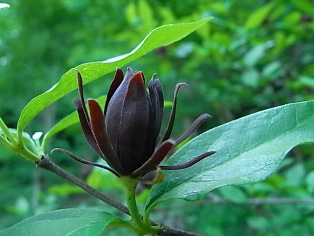 f0341616_715284.jpg
