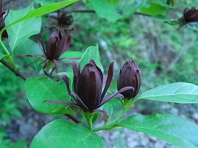 f0341616_720448.jpg