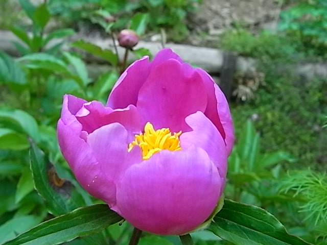 f0341616_723432.jpg