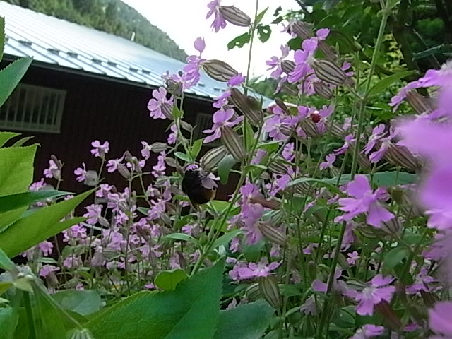 f0341616_725116.jpg