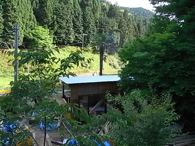 f0341616_7355266.jpg