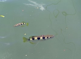 a0043520_21292360.jpg