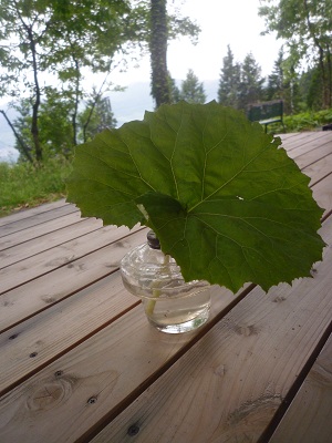 f0031420_863734.jpg