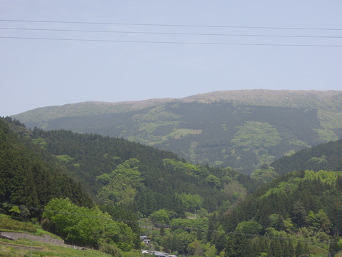 f0151628_21544123.jpg