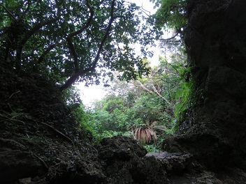 c0051529_2304225.jpg