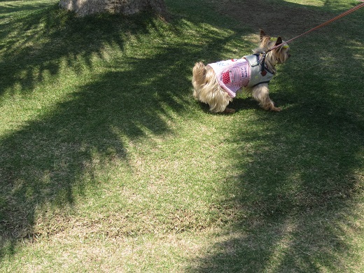 f0002833_21421649.jpg