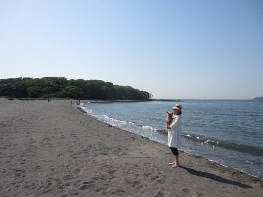 f0002833_2151870.jpg
