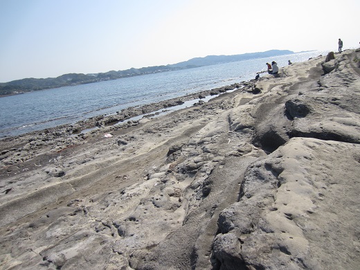 f0002833_21544687.jpg