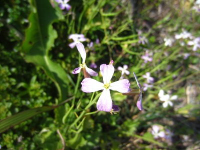 f0002833_21574149.jpg