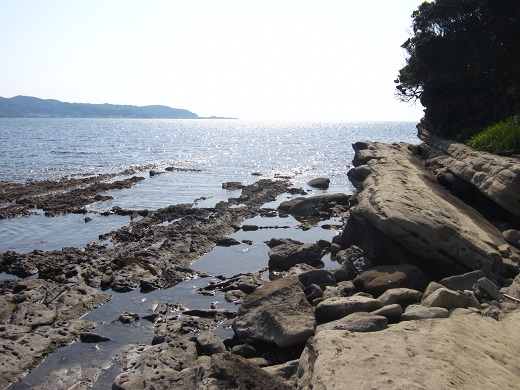 f0002833_2157582.jpg