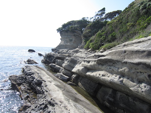 f0002833_220245.jpg