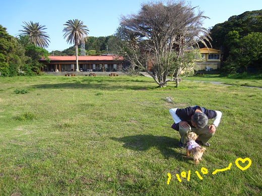 f0002833_22101046.jpg