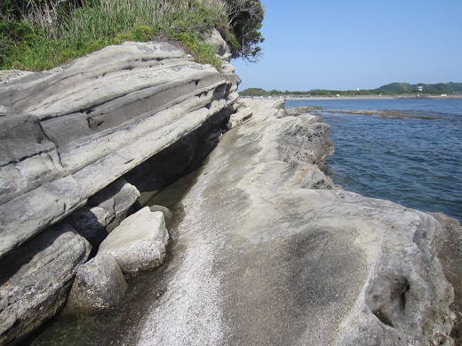 f0002833_221319.jpg