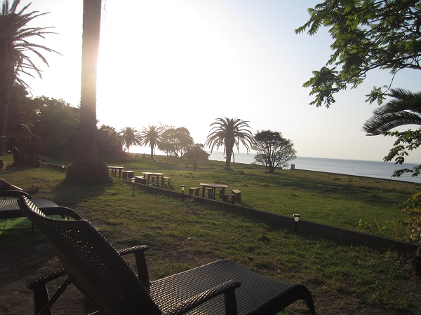 f0002833_22144830.jpg