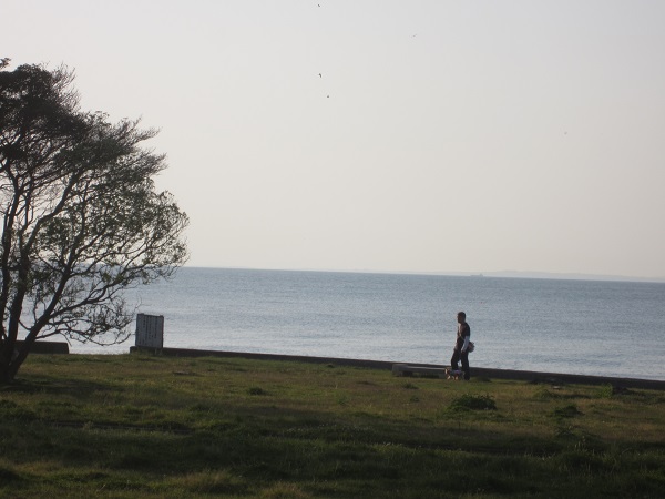 f0002833_2214789.jpg