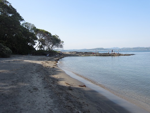 f0002833_2225214.jpg