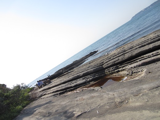 f0002833_2244530.jpg