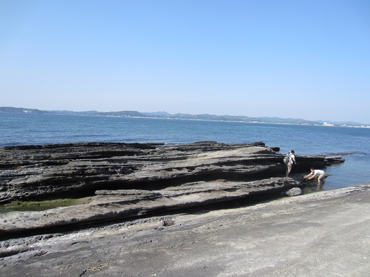 f0002833_2251321.jpg
