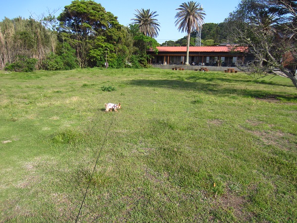 f0002833_2294542.jpg