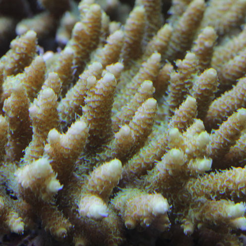 d0221436_20551035.jpg