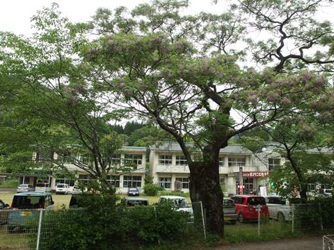 b0199742_21153735.jpg