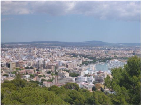 e0210347_3382156.jpg