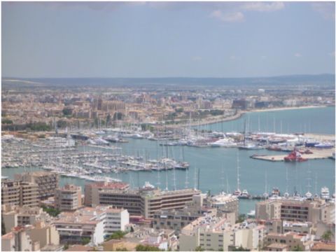 e0210347_3382341.jpg