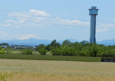 e0172950_1939034.jpg