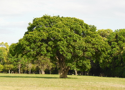 e0172950_8565198.jpg