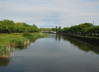 e0172950_857167.jpg