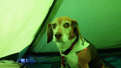 f0046250_8271649.jpg