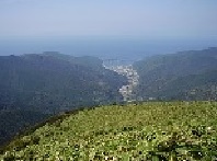 f0036354_9251716.jpg