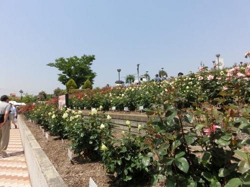 c0328559_16434337.jpg