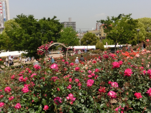 c0328559_16441684.jpg