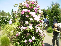 a0055866_21513495.jpg