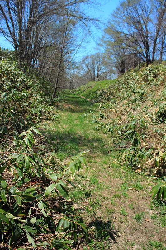 d0298972_212928.jpg