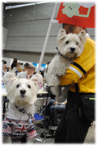 b0242873_22435147.png