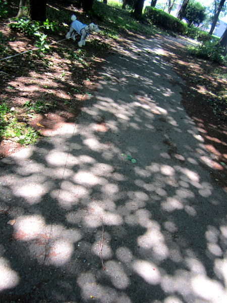 d0264176_18522324.jpg