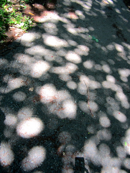 d0264176_18523636.jpg