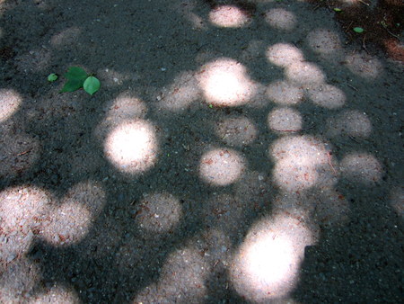 d0264176_18525080.jpg
