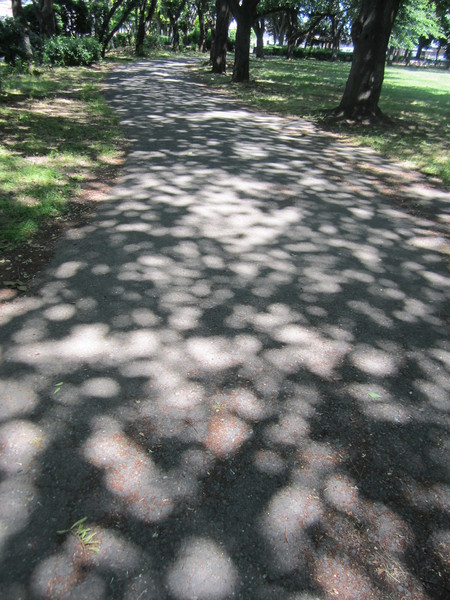 d0264176_1854998.jpg
