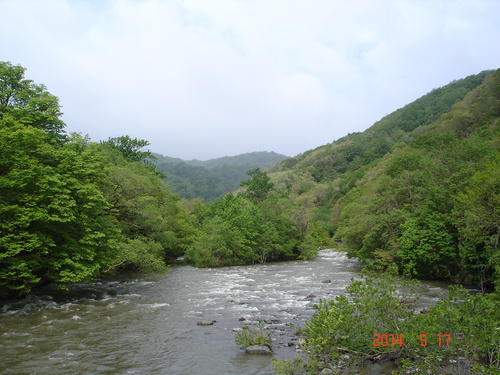 d0165378_12441388.jpg