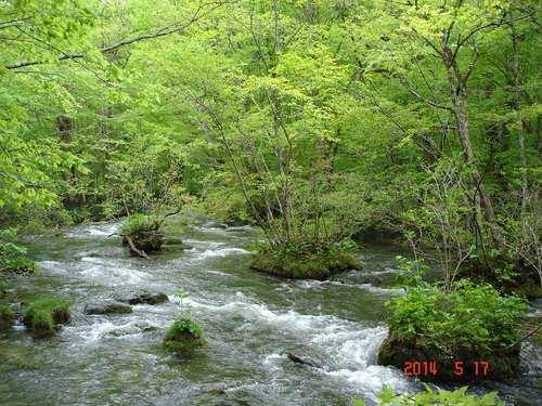d0165378_12451811.jpg
